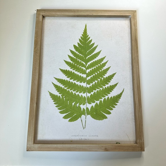Other - New Framed Green Fern Botanical Minimalistic Modern Herbal Wall Art